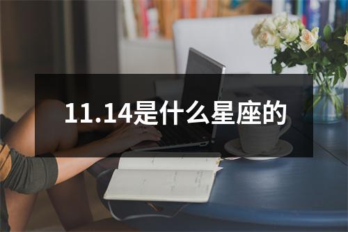 11.14是什么星座的