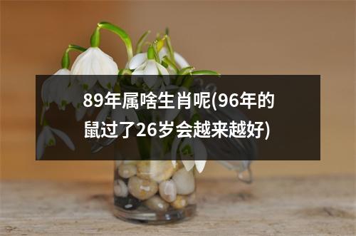 89年属啥生肖呢(96年的鼠过了26岁会越来越好)