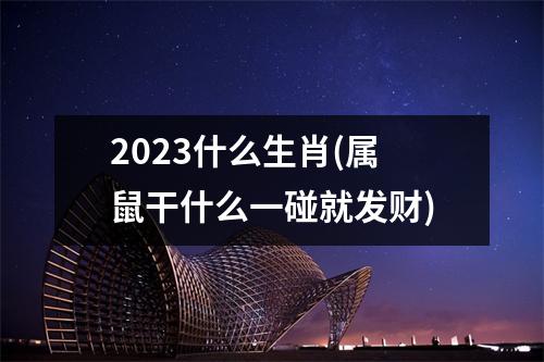 2023什么生肖(属鼠干什么一碰就发财)