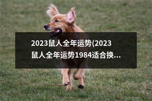 2023鼠人全年运势(2023鼠人全年运势1984适合换工作吗)