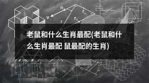 老鼠和什么生肖配(老鼠和什么生肖配 鼠配的生肖)