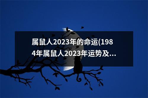 属鼠人2023年的命运(1984年属鼠人2023年运势及运程)