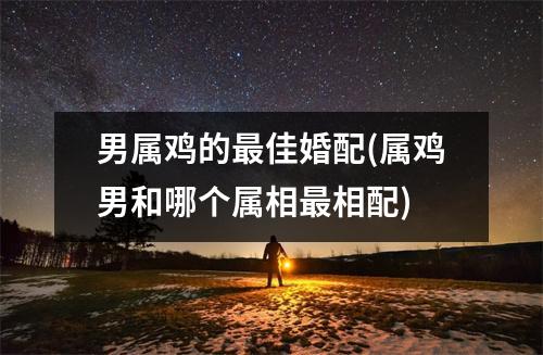 男属鸡的佳婚配(属鸡男和哪个属相相配)