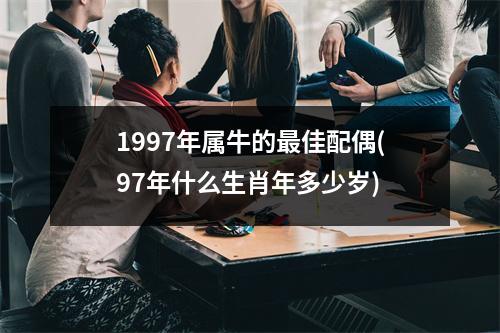 1997年属牛的佳配偶(97年什么生肖年多少岁)