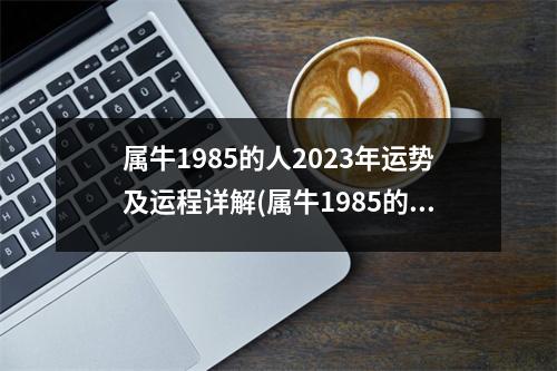 属牛1985的人2023年运势及运程详解(属牛1985的人2023年幸运颜色)