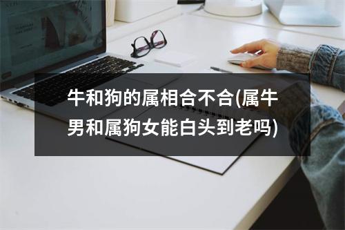 牛和狗的属相合不合(属牛男和属狗女能白头到老吗)
