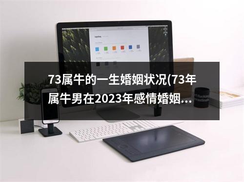 73属牛的一生婚姻状况(73年属牛男在2023年感情婚姻)