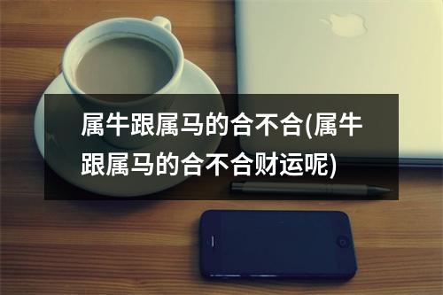 属牛跟属马的合不合(属牛跟属马的合不合财运呢)