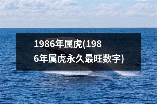 1986年属虎(1986年属虎永久旺数字)