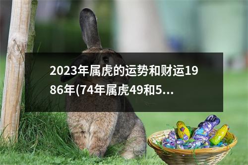 2023年属虎的运势和财运1986年(74年属虎49和50岁命运)
