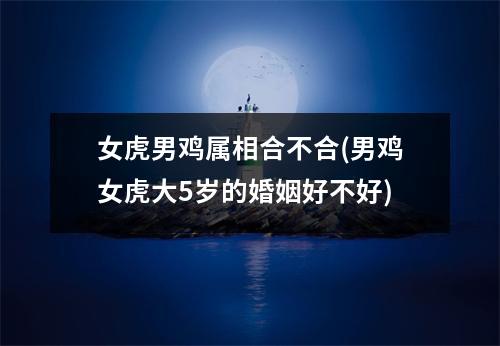 女虎男鸡属相合不合(男鸡女虎大5岁的婚姻好不好)