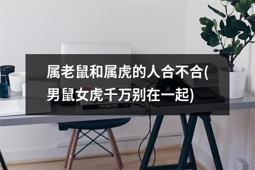 属老鼠和属虎的人合不合(男鼠女虎千万别在一起)
