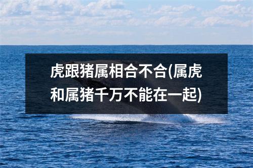 虎跟猪属相合不合(属虎和属猪千万不能在一起)