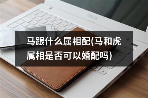 马跟什么属相配(马和虎属相是否可以婚配吗)