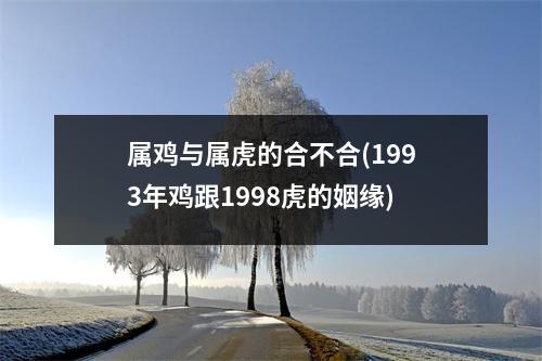 属鸡与属虎的合不合(1993年鸡跟1998虎的姻缘)