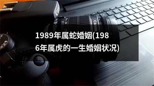 1989年属蛇婚姻(1986年属虎的一生婚姻状况)