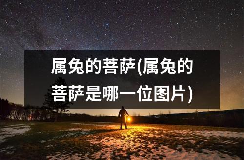 属兔的菩萨(属兔的菩萨是哪一位图片)