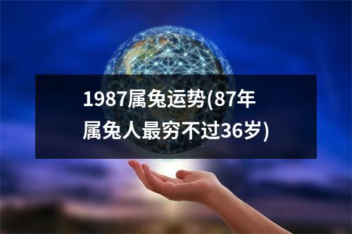 1987属兔运势(87年属兔人穷不过36岁)