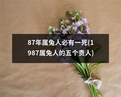 87年属兔人必有一死(1987属兔人的五个贵人)