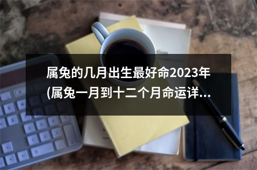 属兔的几月出生好命2023年(属兔一月到十二个月命运详解)