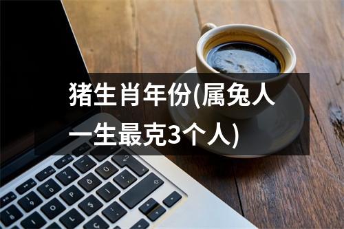 猪生肖年份(属兔人一生克3个人)
