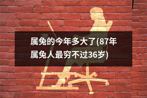属兔的今年多大了(87年属兔人穷不过36岁)