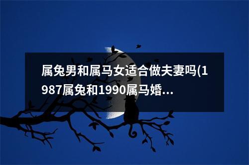 属兔男和属马女适合做夫妻吗(1987属兔和1990属马婚姻如何)