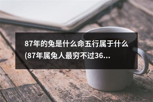 87年的兔是什么命五行属于什么(87年属兔人穷不过36岁)