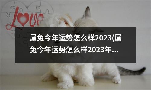 属兔今年运势怎么样2023(属兔今年运势怎么样2023年结婚)