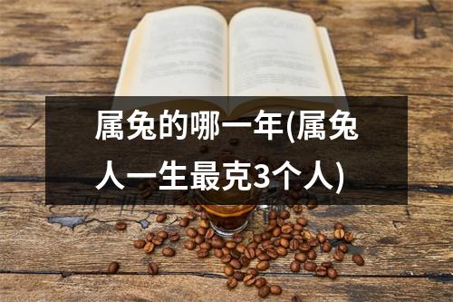 属兔的哪一年(属兔人一生克3个人)