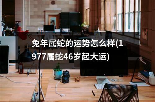 兔年属蛇的运势怎么样(1977属蛇46岁起大运)