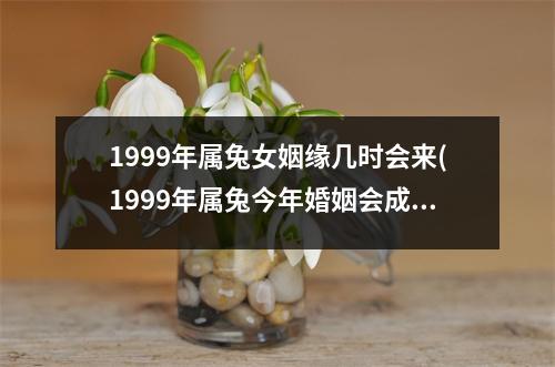 1999年属兔女姻缘几时会来(1999年属兔今年婚姻会成功吗)