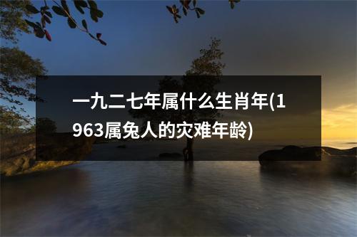 一九二七年属什么生肖年(1963属兔人的灾难年龄)