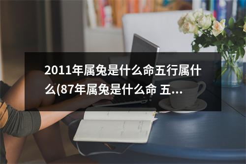 2011年属兔是什么命五行属什么(87年属兔是什么命 五行属什么)