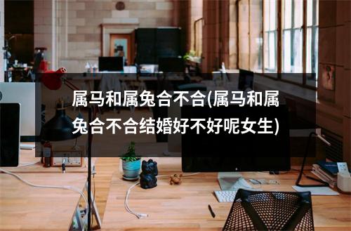 属马和属兔合不合(属马和属兔合不合结婚好不好呢女生)