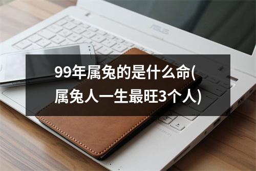99年属兔的是什么命(属兔人一生旺3个人)