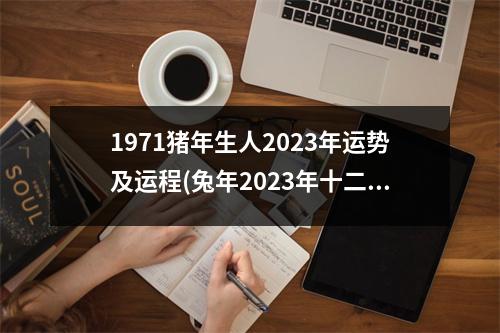 1971猪年生人2023年运势及运程(兔年2023年十二个月的运势及运程)