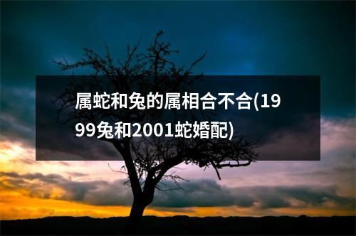 属蛇和兔的属相合不合(1999兔和2001蛇婚配)