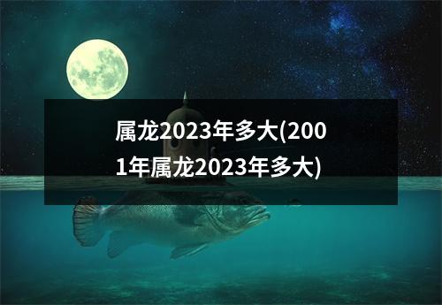 属龙2023年多大(2001年属龙2023年多大)