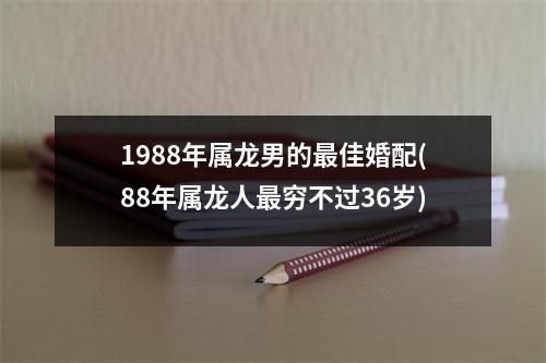 1988年属龙男的佳婚配(88年属龙人穷不过36岁)