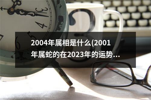 2004年属相是什么(2001年属蛇的在2023年的运势)