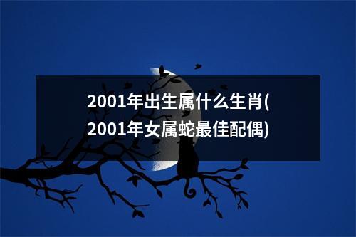 2001年出生属什么生肖(2001年女属蛇佳配偶)
