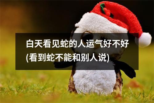 白天看见蛇的人运气好不好(看到蛇不能和别人说)