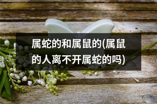 属蛇的和属鼠的(属鼠的人离不开属蛇的吗)