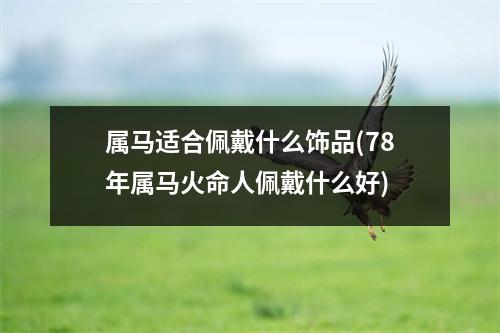 属马适合佩戴什么饰品(78年属马火命人佩戴什么好)