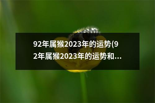92年属猴2023年的运势(92年属猴2023年的运势和婚姻状况)