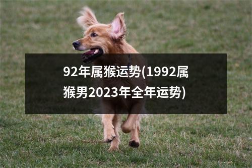 92年属猴运势(1992属猴男2023年全年运势)