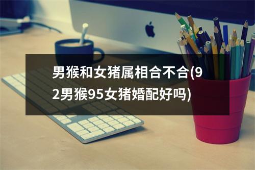 男猴和女猪属相合不合(92男猴95女猪婚配好吗)