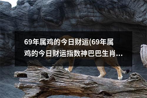 69年属鸡的今日财运(69年属鸡的今日财运指数神巴巴生肖网)