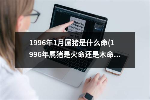 1996年1月属猪是什么命(1996年属猪是火命还是木命)